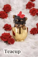 processed/bd7273c2-3831-4a6f-9abe-4b518b656412/facility/4eb8f3c4-a714-48b1-8775-c31870235ea2