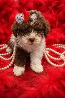 processed/bd7273c2-3831-4a6f-9abe-4b518b656412/facility/b6ff9638-d6b3-4ede-9dd1-11268fa63a16