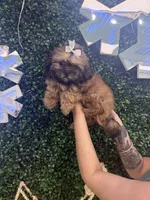 processed/bd7273c2-3831-4a6f-9abe-4b518b656412/facility/c48b3f5b-492b-45ad-892f-62d0773c8e23