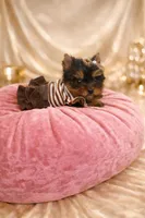 processed/bd7273c2-3831-4a6f-9abe-4b518b656412/facility/e1207800-081e-466c-b392-f777f40f5b78