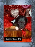 processed/bd92224c-b86b-4955-ab96-317fcabbdd83/listing/24127c05-ba46-4664-8023-b6f0c6d38d1d/b16c0cbc-2146-44e7-bb2a-c13a4bb365b8