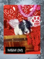 processed/bd92224c-b86b-4955-ab96-317fcabbdd83/listing/335f3973-9415-430d-a598-f5e88fa3d74a/b266e58c-cf18-4165-a81f-a640aa1f2ddf