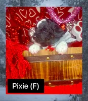 processed/bd92224c-b86b-4955-ab96-317fcabbdd83/listing/535b464e-8772-4d22-b9b5-aef447fb672a/180b2859-82a6-475b-962f-2c58dae96211