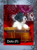 processed/bd92224c-b86b-4955-ab96-317fcabbdd83/listing/6a148c87-df39-42e1-bf1e-ca2f635671db/79ab5491-cece-4515-a5a8-e76ce1cc18dc