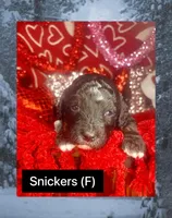 processed/bd92224c-b86b-4955-ab96-317fcabbdd83/listing/9526c144-471c-4f7d-af5a-62ad2be9727f/607aaf32-6361-4426-abc6-3d534efb663e