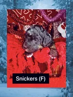 processed/bd92224c-b86b-4955-ab96-317fcabbdd83/listing/9526c144-471c-4f7d-af5a-62ad2be9727f/6af4dd42-daac-41c5-ae51-7734d554bb49