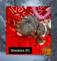 processed/bd92224c-b86b-4955-ab96-317fcabbdd83/listing/9526c144-471c-4f7d-af5a-62ad2be9727f/f34f5d80-34d3-4401-af90-dcb403db9cdd