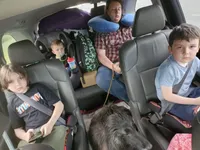 Kano, a male Afghan Hound for sale in Edmonton, KY – Photo 3 of 9