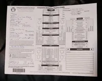 CH Ace, a male Afghan Hound for sale in Edmonton, KY – Photo 10 of 10