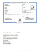 CH Ace, a male Afghan Hound for sale in Edmonton, KY – Photo 9 of 10