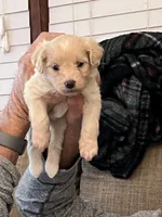 processed/bdad589f-d507-4859-8a2e-33490f3e1d78/facility/2ba1d8f4-e669-41f3-9e18-3f84d69dc4ae