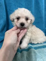 processed/bdad589f-d507-4859-8a2e-33490f3e1d78/facility/492f96da-4380-4904-ab8e-3b37058457db