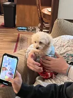 processed/bdad589f-d507-4859-8a2e-33490f3e1d78/facility/5eb854b6-7b9b-4390-8d4a-13d29b262baf