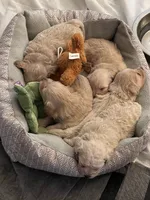 processed/bdad589f-d507-4859-8a2e-33490f3e1d78/facility/a2cf7ae4-8c69-49ae-b67a-966d08a79895