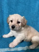 processed/bdad589f-d507-4859-8a2e-33490f3e1d78/facility/b5d70c5a-1a1b-4242-b9e8-889855e6ea6c