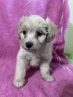 processed/bdad589f-d507-4859-8a2e-33490f3e1d78/facility/bc80f96c-5d3e-4c59-b00b-09d50c759b8d