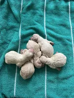 processed/bdad589f-d507-4859-8a2e-33490f3e1d78/facility/e573c7db-0567-4b1c-b4b4-e5fd32966d80