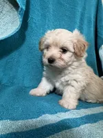 processed/bdad589f-d507-4859-8a2e-33490f3e1d78/facility/e681df6b-ab7c-4497-bb9c-15381c040f47