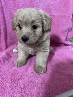 processed/bdad589f-d507-4859-8a2e-33490f3e1d78/facility/e9b39623-888b-492e-b2e5-2f049a5a82bf