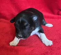 processed/bdb99fb6-fa5e-4921-bfeb-d9a2f5aa4bab/listing/096b545b-5dbd-4e39-8162-11530b94d3e5/03907a18-0065-4ff8-af66-983373f95030