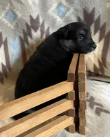 processed/bdb99fb6-fa5e-4921-bfeb-d9a2f5aa4bab/listing/096b545b-5dbd-4e39-8162-11530b94d3e5/21b0b88f-3faa-420c-94d7-40f9556a5a6e