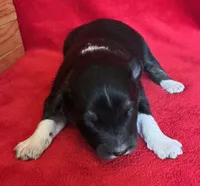 processed/bdb99fb6-fa5e-4921-bfeb-d9a2f5aa4bab/listing/096b545b-5dbd-4e39-8162-11530b94d3e5/28d304be-d70f-420f-83f9-89b919cb7e1a