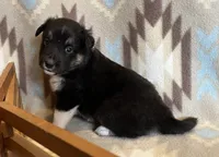 processed/bdb99fb6-fa5e-4921-bfeb-d9a2f5aa4bab/listing/096b545b-5dbd-4e39-8162-11530b94d3e5/5f4e5c8d-774f-47cc-8749-a625c31a9a9e