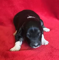 processed/bdb99fb6-fa5e-4921-bfeb-d9a2f5aa4bab/listing/096b545b-5dbd-4e39-8162-11530b94d3e5/b4a2306f-b42b-4a85-9111-4ab62c44f57e