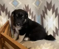 processed/bdb99fb6-fa5e-4921-bfeb-d9a2f5aa4bab/listing/096b545b-5dbd-4e39-8162-11530b94d3e5/d7eea388-d710-4c3a-93af-a4eef7d3a821