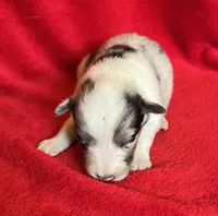 processed/bdb99fb6-fa5e-4921-bfeb-d9a2f5aa4bab/listing/0ec5a1e0-c320-41f5-a90a-7e78649f883a/32fe8a4c-5187-4e8c-9a01-5cee3a250318