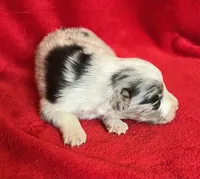 processed/bdb99fb6-fa5e-4921-bfeb-d9a2f5aa4bab/listing/0ec5a1e0-c320-41f5-a90a-7e78649f883a/57ae4a90-9db7-40ea-85e2-949bcd60a880