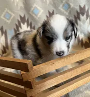 processed/bdb99fb6-fa5e-4921-bfeb-d9a2f5aa4bab/listing/0ec5a1e0-c320-41f5-a90a-7e78649f883a/a28e2f96-4775-4611-acb8-da1b22d44e5c