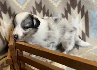 processed/bdb99fb6-fa5e-4921-bfeb-d9a2f5aa4bab/listing/0ec5a1e0-c320-41f5-a90a-7e78649f883a/a44e1afe-73e9-4bf7-96df-a0956608a715