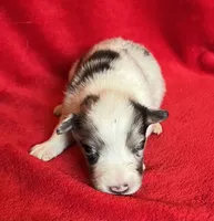 processed/bdb99fb6-fa5e-4921-bfeb-d9a2f5aa4bab/listing/0ec5a1e0-c320-41f5-a90a-7e78649f883a/fa0384a1-8bf9-47bd-a349-c84faba4f9dd