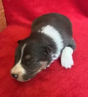 processed/bdb99fb6-fa5e-4921-bfeb-d9a2f5aa4bab/listing/128850ba-d55b-42cb-908c-df656e235672/66eee553-2f22-43c1-b0fc-396ffecfac3a