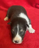 processed/bdb99fb6-fa5e-4921-bfeb-d9a2f5aa4bab/listing/128850ba-d55b-42cb-908c-df656e235672/894197a1-68f6-4ab4-bf12-f9c827c52c7d