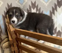 processed/bdb99fb6-fa5e-4921-bfeb-d9a2f5aa4bab/listing/128850ba-d55b-42cb-908c-df656e235672/8bcfff4a-7920-45dd-9c18-b70bc38be108