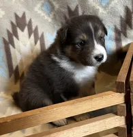 processed/bdb99fb6-fa5e-4921-bfeb-d9a2f5aa4bab/listing/128850ba-d55b-42cb-908c-df656e235672/93081fab-f6a6-4ac7-96eb-8a44aa82913b