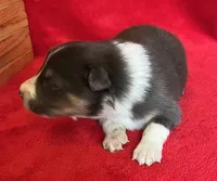 processed/bdb99fb6-fa5e-4921-bfeb-d9a2f5aa4bab/listing/128850ba-d55b-42cb-908c-df656e235672/c9512969-428d-4008-bd67-eabab196c1ce