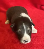 processed/bdb99fb6-fa5e-4921-bfeb-d9a2f5aa4bab/listing/128850ba-d55b-42cb-908c-df656e235672/ea102748-bb11-44a5-a804-46cb7c336485