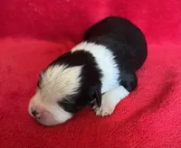 processed/bdb99fb6-fa5e-4921-bfeb-d9a2f5aa4bab/listing/2a5bc2d3-1750-4f9c-9082-dab73f72dd61/0f5bc6b1-4f45-4d4c-8fcf-934dd3769c45