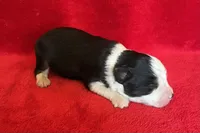 processed/bdb99fb6-fa5e-4921-bfeb-d9a2f5aa4bab/listing/2a5bc2d3-1750-4f9c-9082-dab73f72dd61/7c363256-6308-46d4-bbee-e75f1be836ee