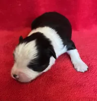 processed/bdb99fb6-fa5e-4921-bfeb-d9a2f5aa4bab/listing/2a5bc2d3-1750-4f9c-9082-dab73f72dd61/ac84a191-c1f2-470e-866a-b5f4383c7f9d