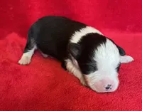 processed/bdb99fb6-fa5e-4921-bfeb-d9a2f5aa4bab/listing/2a5bc2d3-1750-4f9c-9082-dab73f72dd61/f10e4b25-6008-4260-b5db-4bfed247ed87