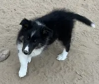 processed/bdb99fb6-fa5e-4921-bfeb-d9a2f5aa4bab/listing/2beef53e-ab94-4524-8bf7-53972146ac16/32aa5566-b5be-4848-9b3c-288db8776feb