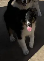 processed/bdb99fb6-fa5e-4921-bfeb-d9a2f5aa4bab/listing/2beef53e-ab94-4524-8bf7-53972146ac16/48baff7d-abee-4f8c-8a79-a0af1161e4cb