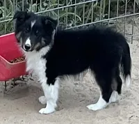 processed/bdb99fb6-fa5e-4921-bfeb-d9a2f5aa4bab/listing/2beef53e-ab94-4524-8bf7-53972146ac16/50524290-057e-416f-bcef-15d42599a310