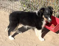 processed/bdb99fb6-fa5e-4921-bfeb-d9a2f5aa4bab/listing/2beef53e-ab94-4524-8bf7-53972146ac16/5cb8d671-0cbc-41a5-9884-61d70c8be606