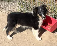 processed/bdb99fb6-fa5e-4921-bfeb-d9a2f5aa4bab/listing/2beef53e-ab94-4524-8bf7-53972146ac16/7086db95-d9b7-4431-8d4f-2b339e4168b7