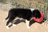 processed/bdb99fb6-fa5e-4921-bfeb-d9a2f5aa4bab/listing/2beef53e-ab94-4524-8bf7-53972146ac16/72b52162-0bfb-4ef1-afc8-7b76bbb3cec3